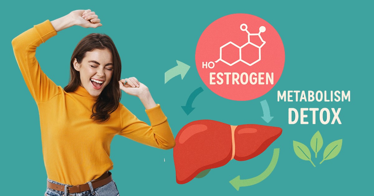 Digital illustration of estrogen metabolism and liver detox pathways showing how balanced estrogen detox supports hormonal health and wellness.