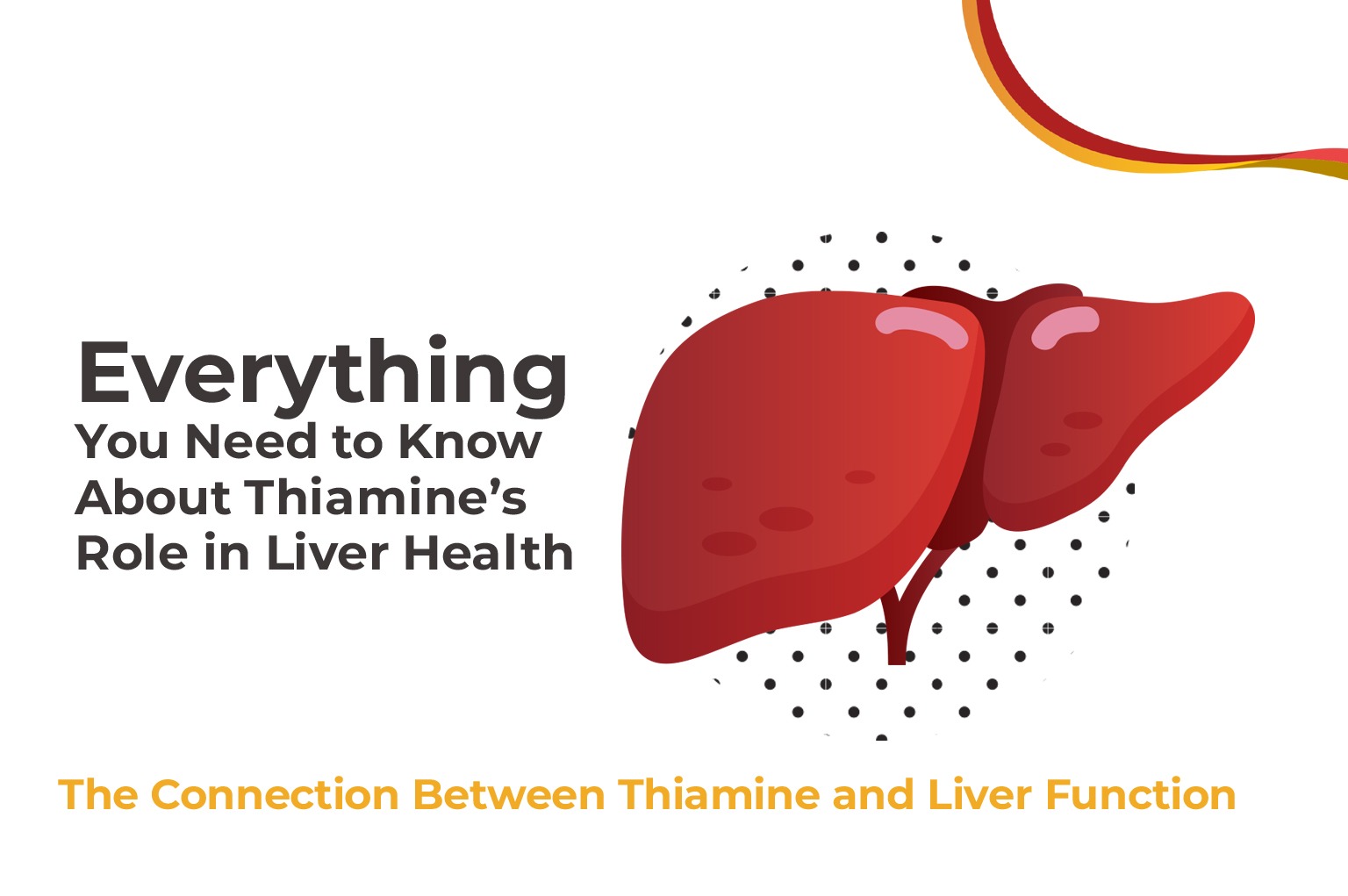 Digital illustration showing a healthy human liver with a Vitamin B1 (Thiamine) IV infusion bag — representing thiamine’s role in liver health and detox therapy.